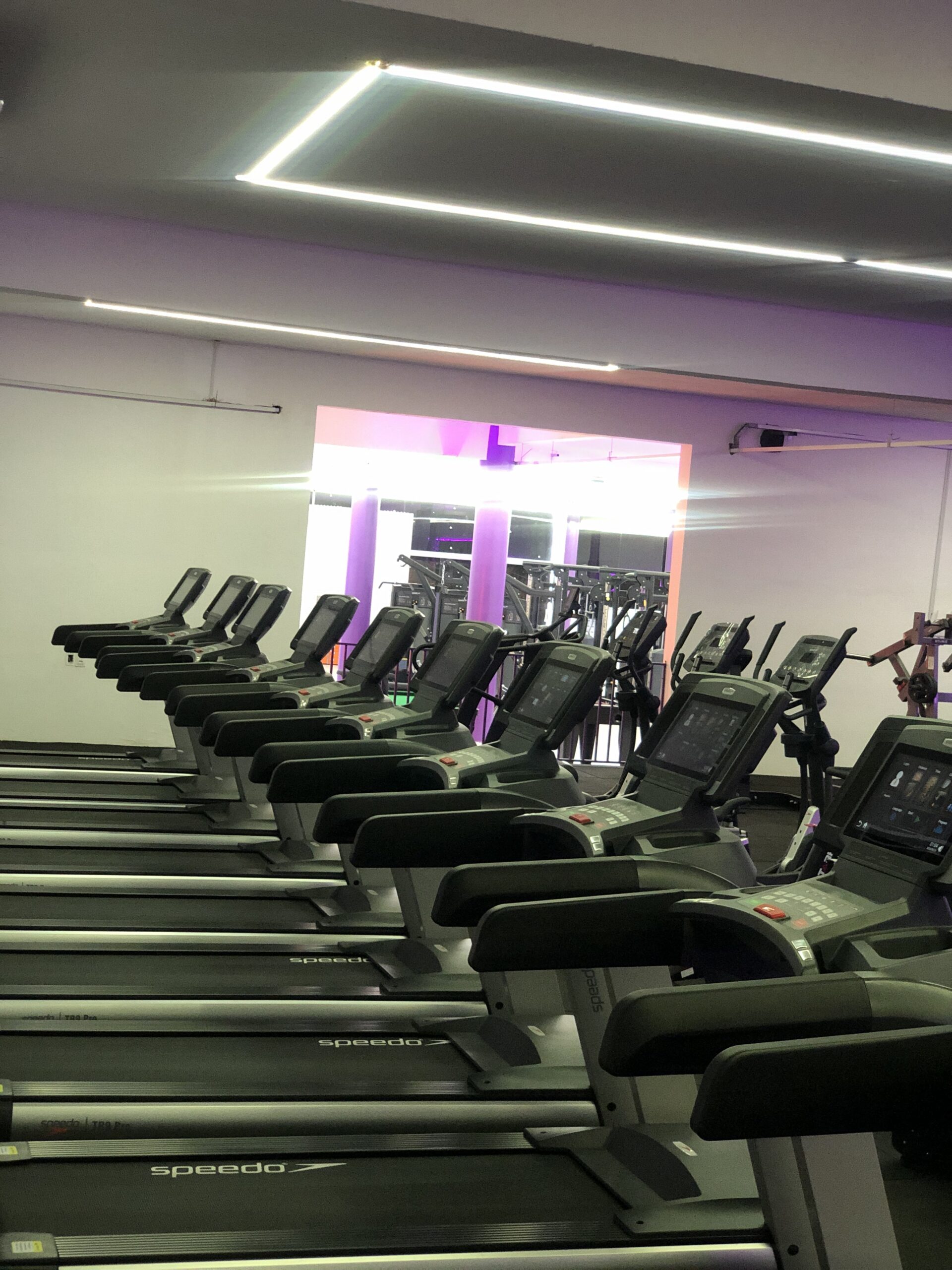Esteiras SPEEDO Duxfit
